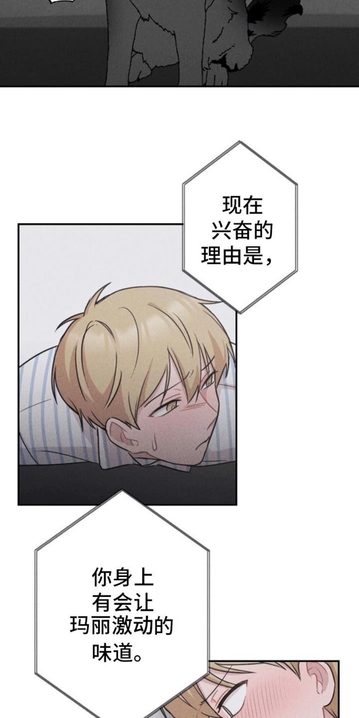 第21话 新游戏 第 15 页