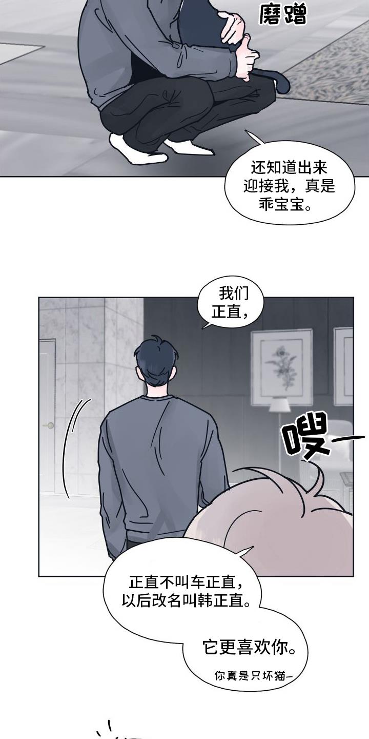 第9话 坠入爱河【完结】 第 17 页