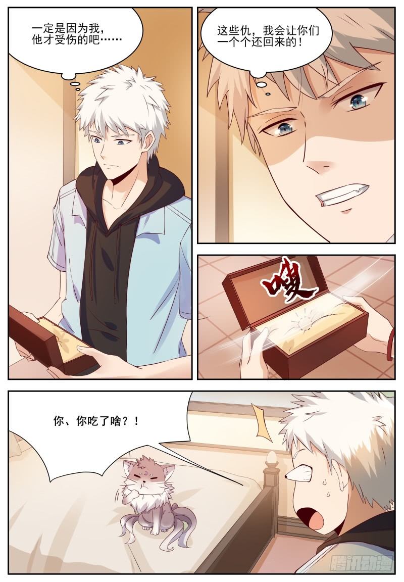 第5话 喵哥也记仇！ 第 3 页