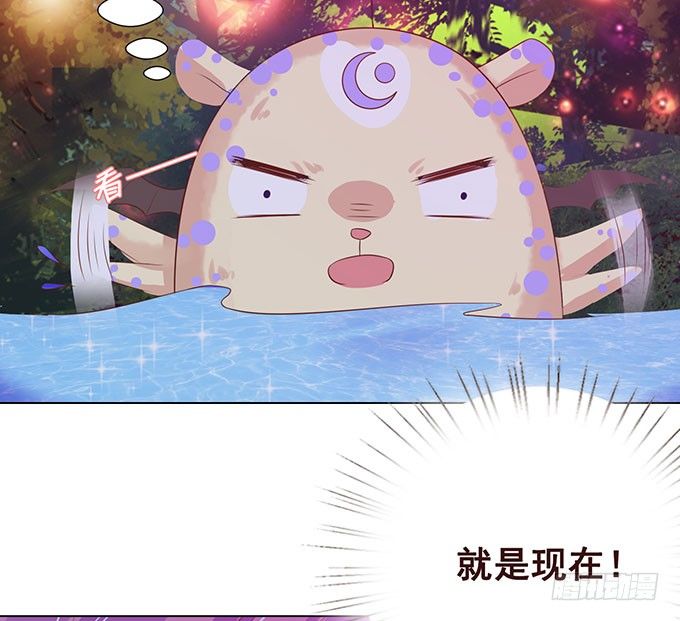 萌宠当自怂 第 25 页