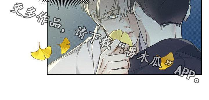 第48话 向枫叶许愿 第 20 页