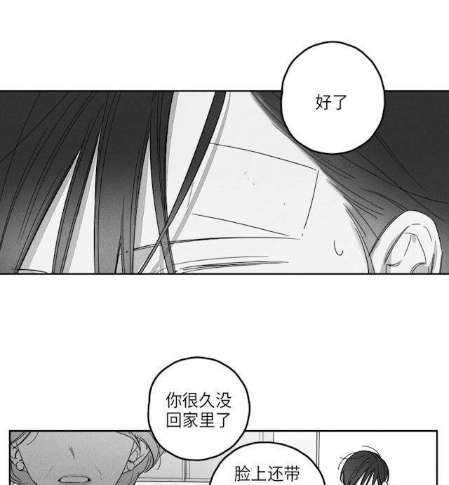 41话 第 6 页