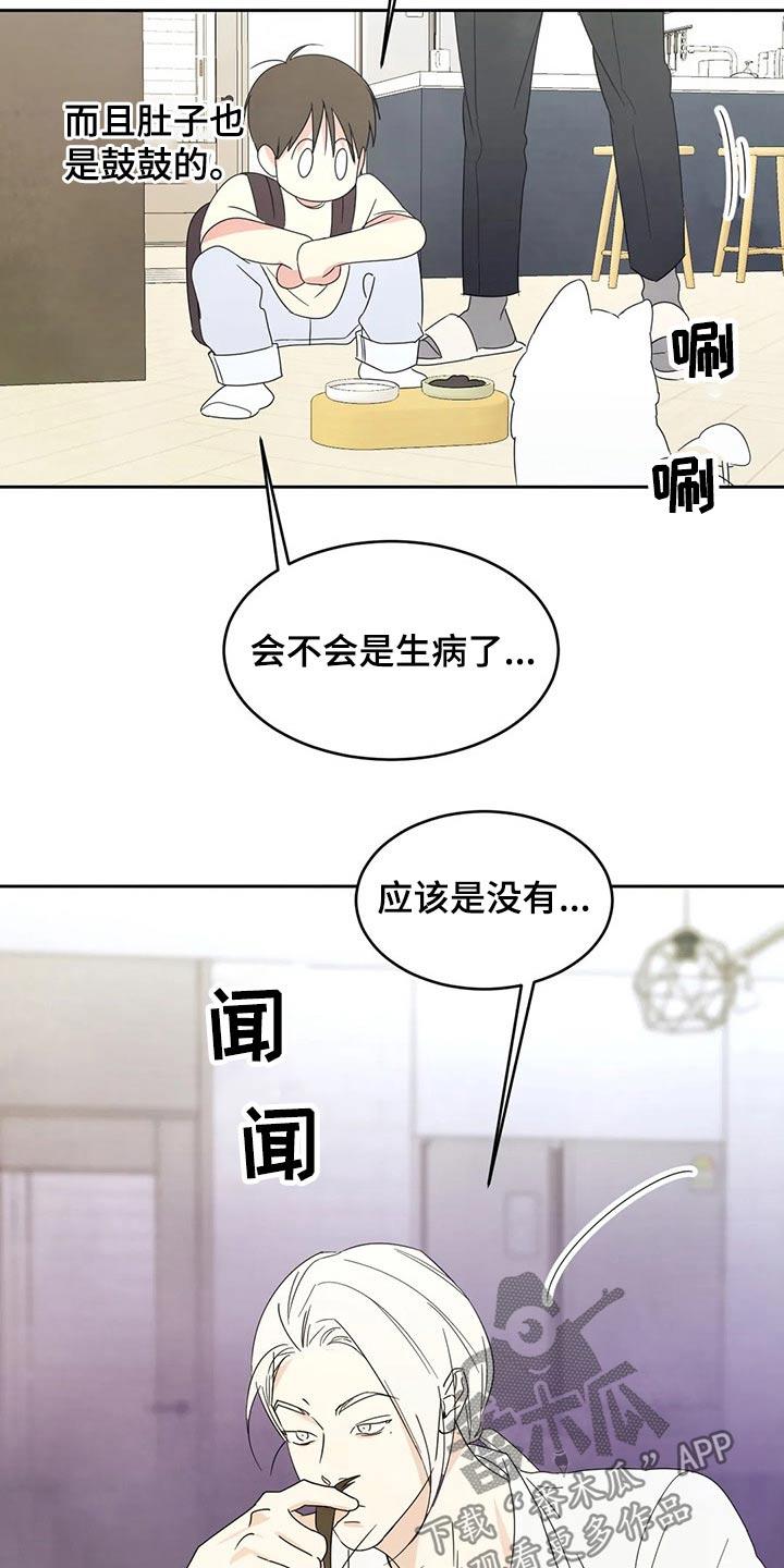 第64话 见面 第 17 页