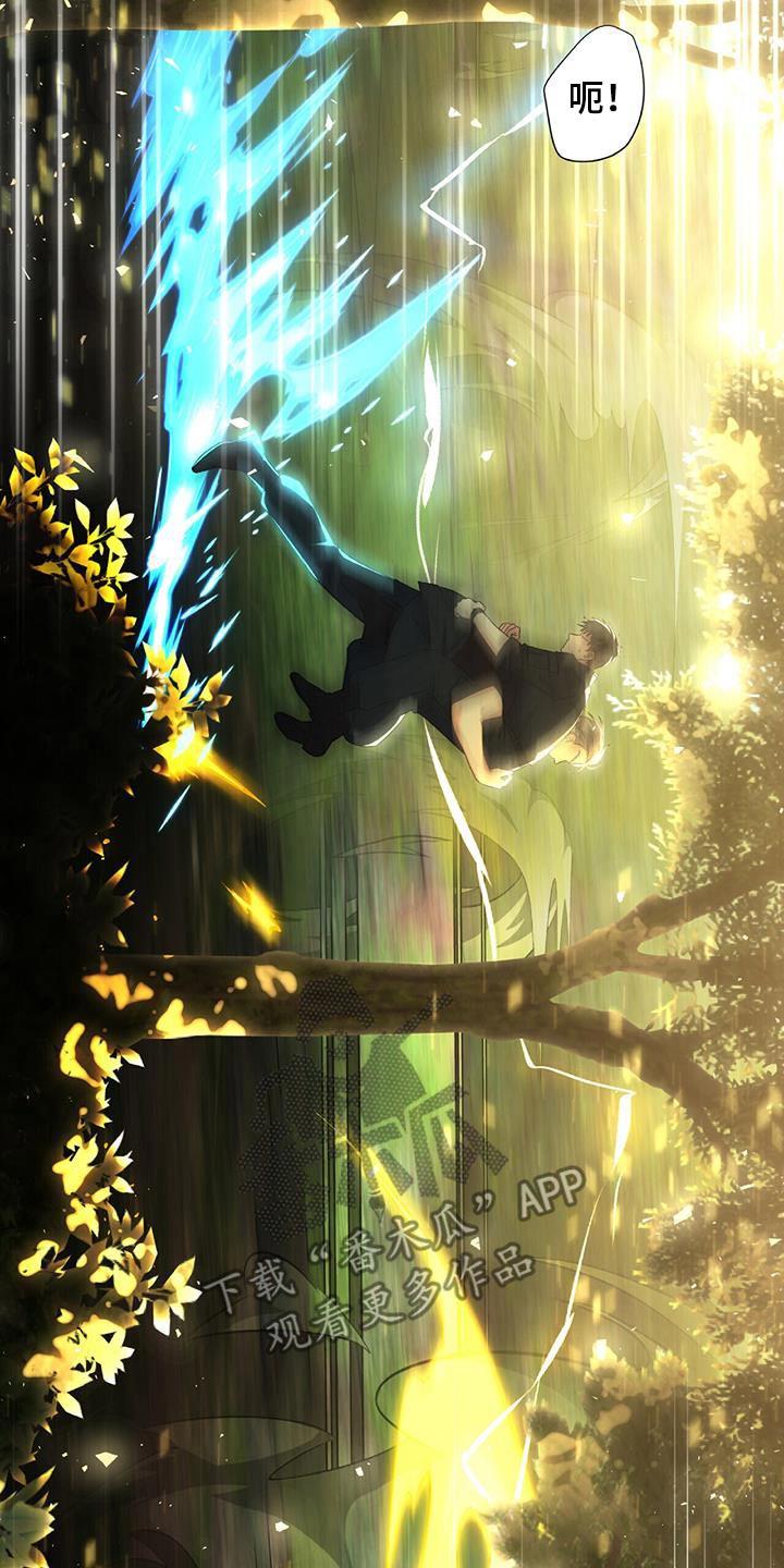 第28话 如此了解 第 13 页