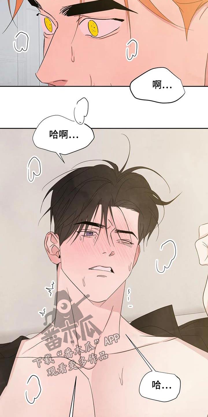第201话 【第二季】第一 第 14 页