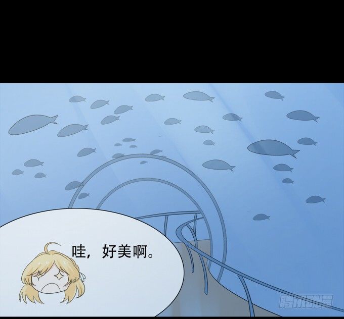 17-美丽的海洋馆~ 第 22 页