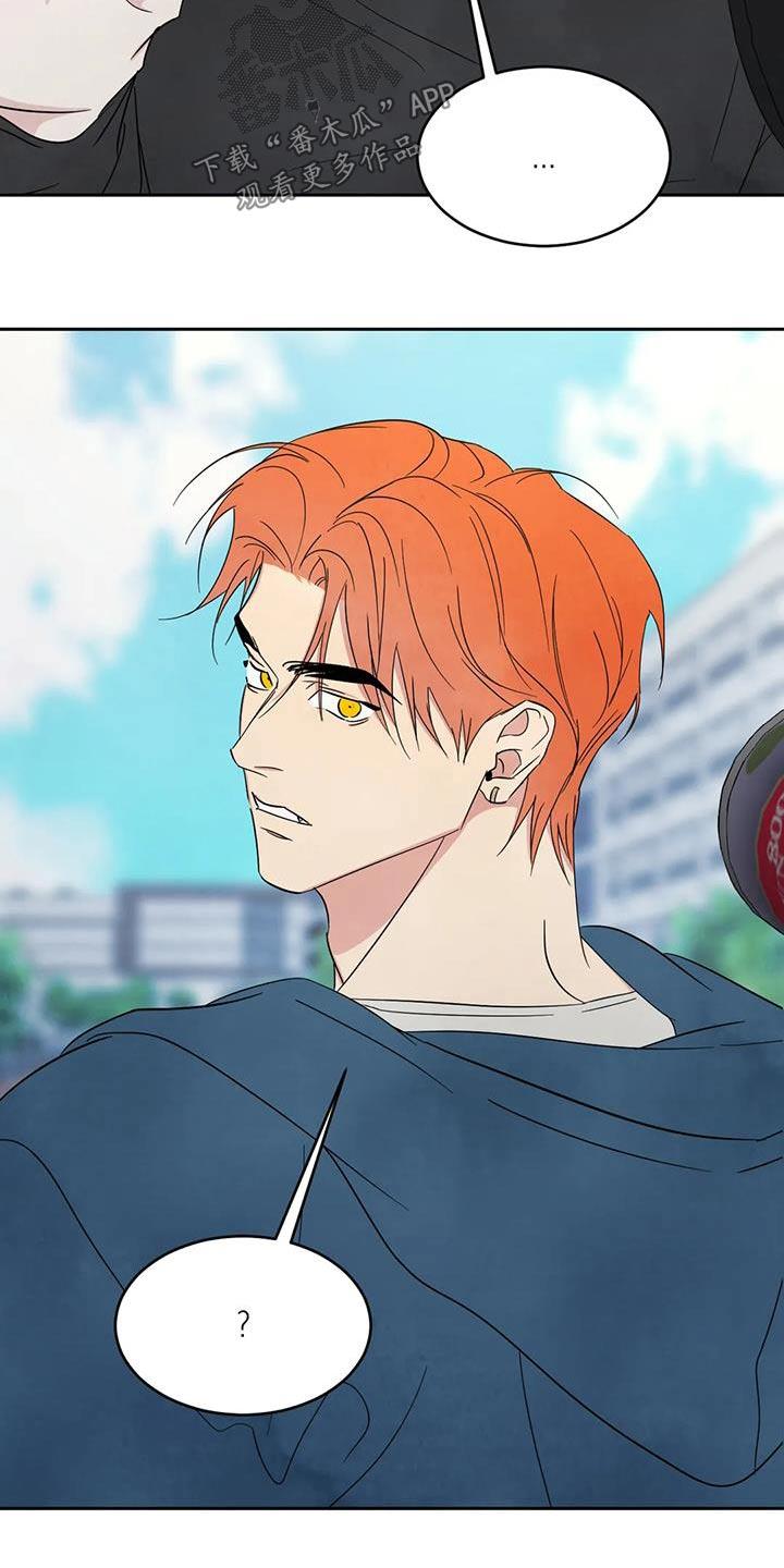 第183话   第 24 页