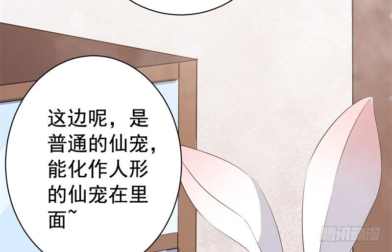 071仙宠 第 13 页