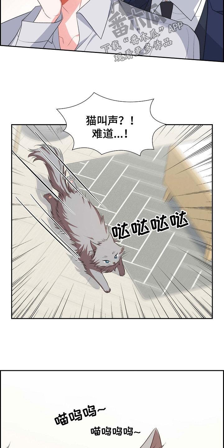 第100话 喝杯酒吧 第 19 页