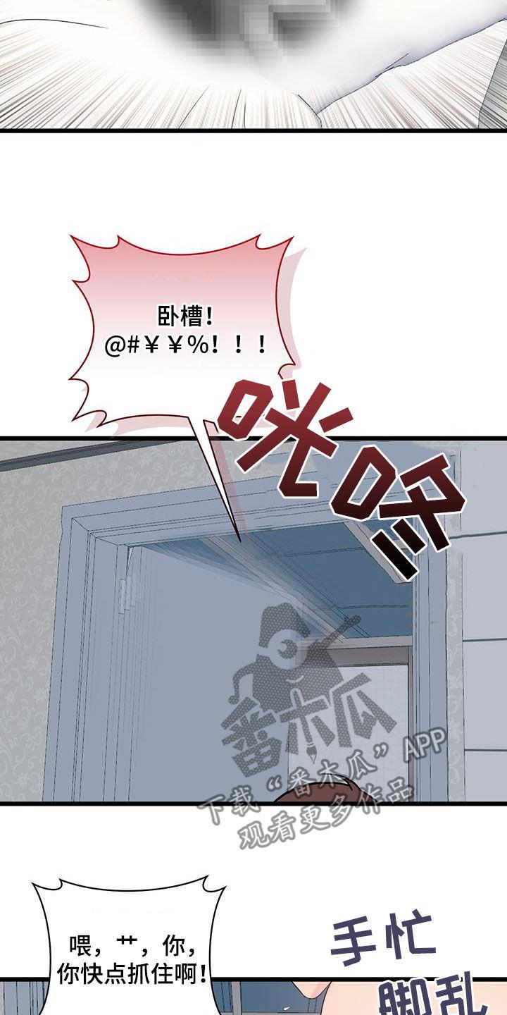 第100话 【第二季】蜘蛛 第 17 页