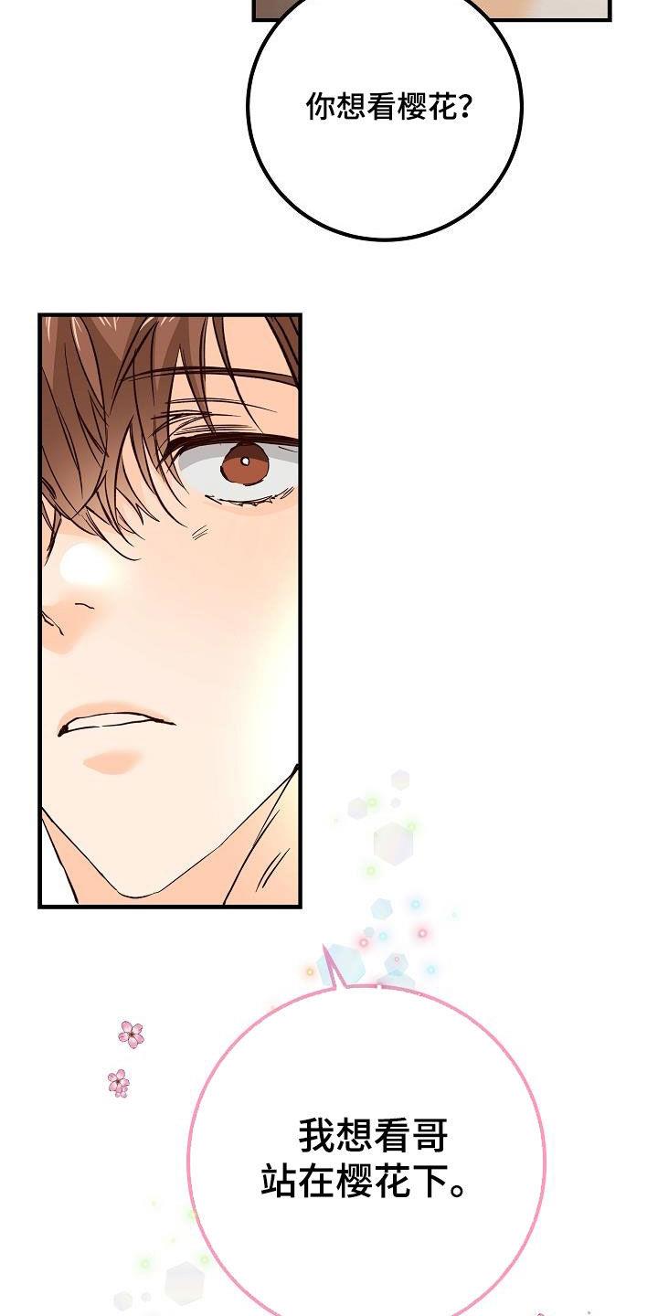 第36话 视频 第 5 页