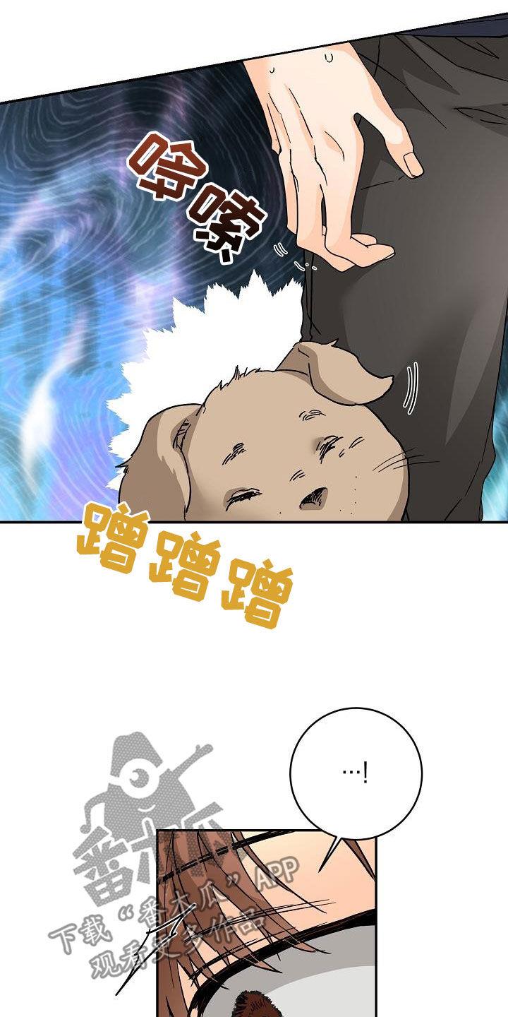 第111话 怕狗 第 17 页