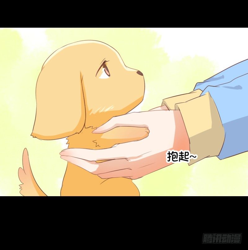 解决办法 第 21 页