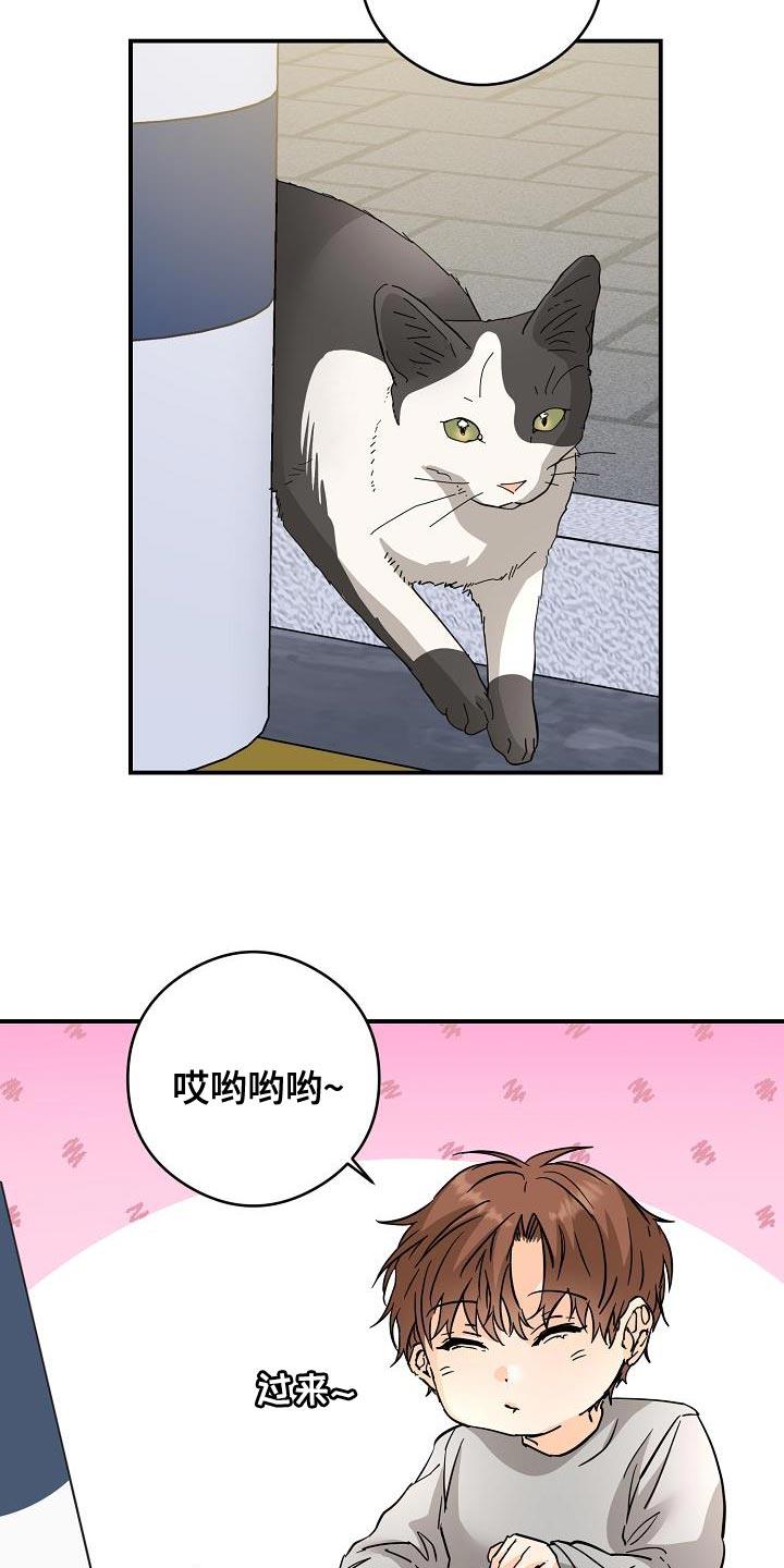 第96话 猫咪 第 17 页