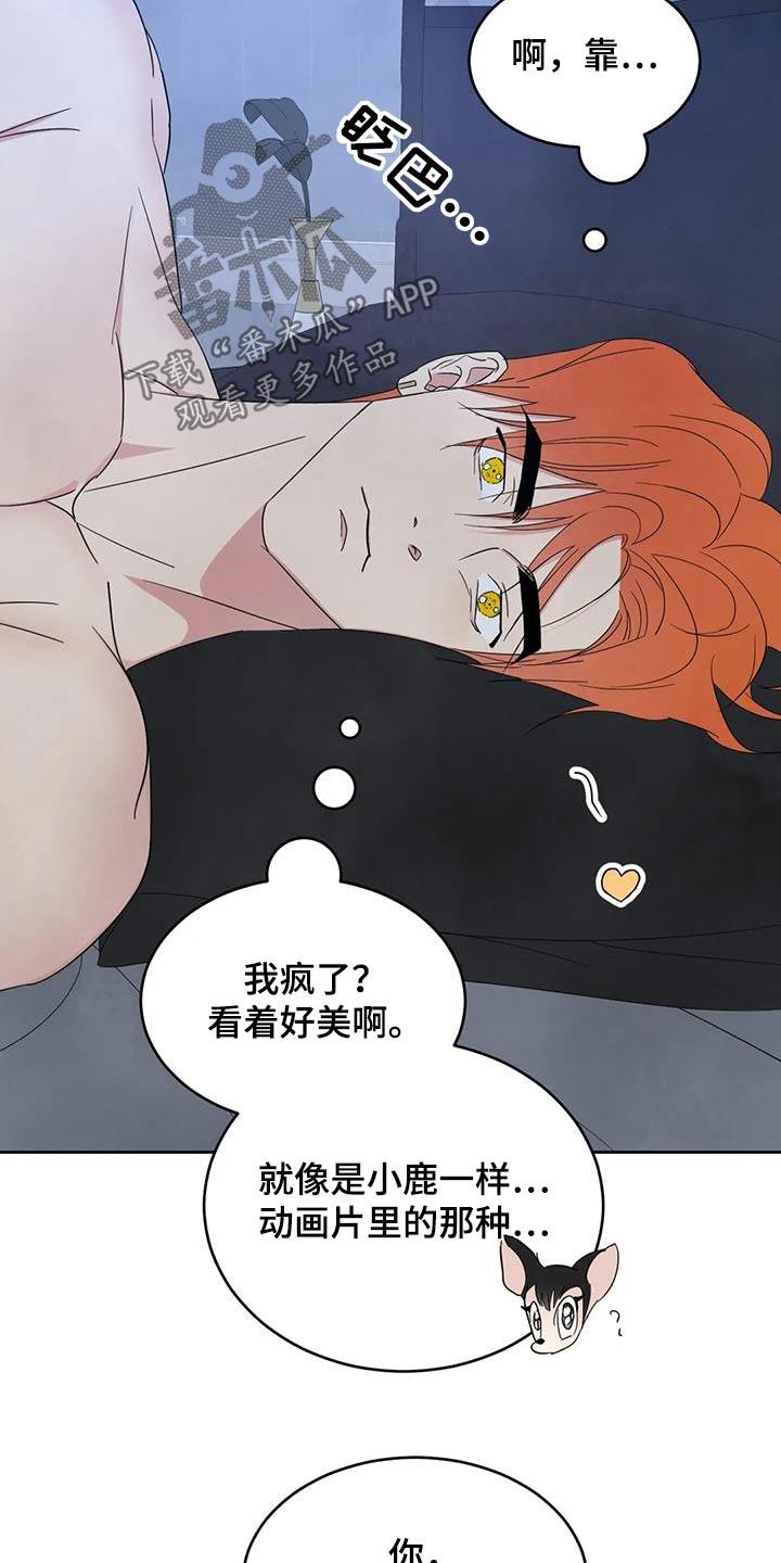 第191话 【第二季】睡不着 第 19 页