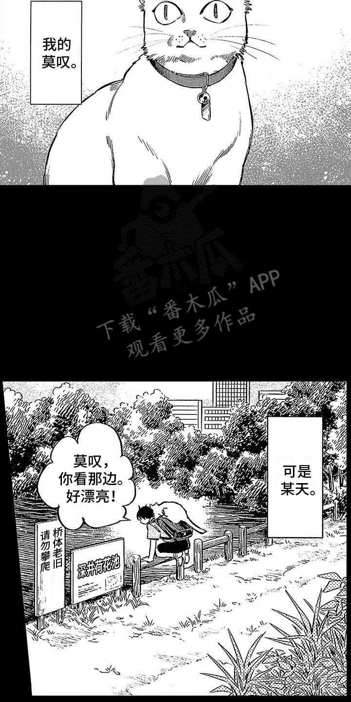 第8话 意外 第 13 页