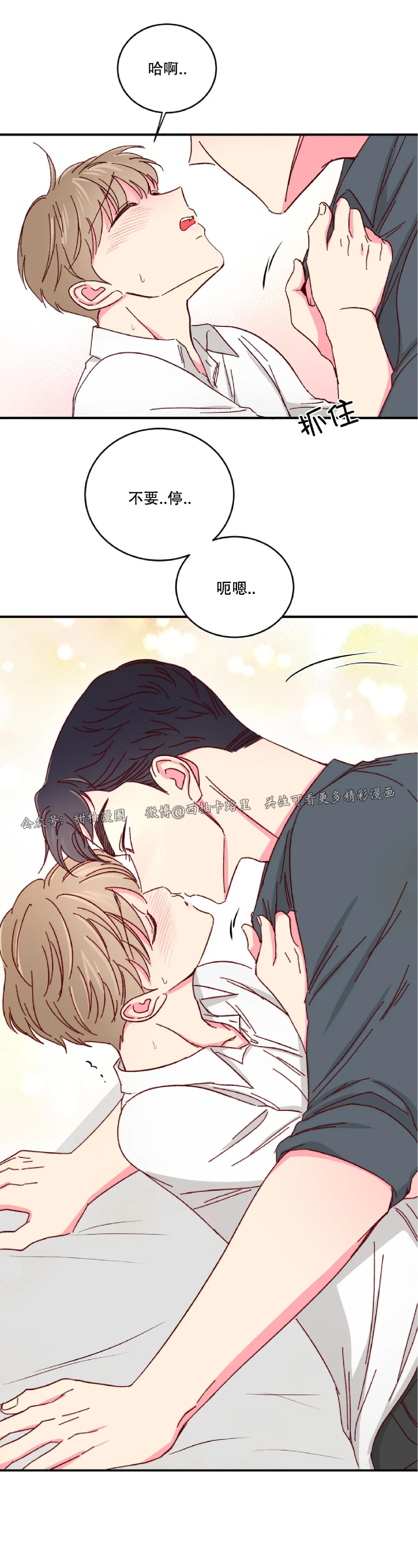 第41话 第 26 页