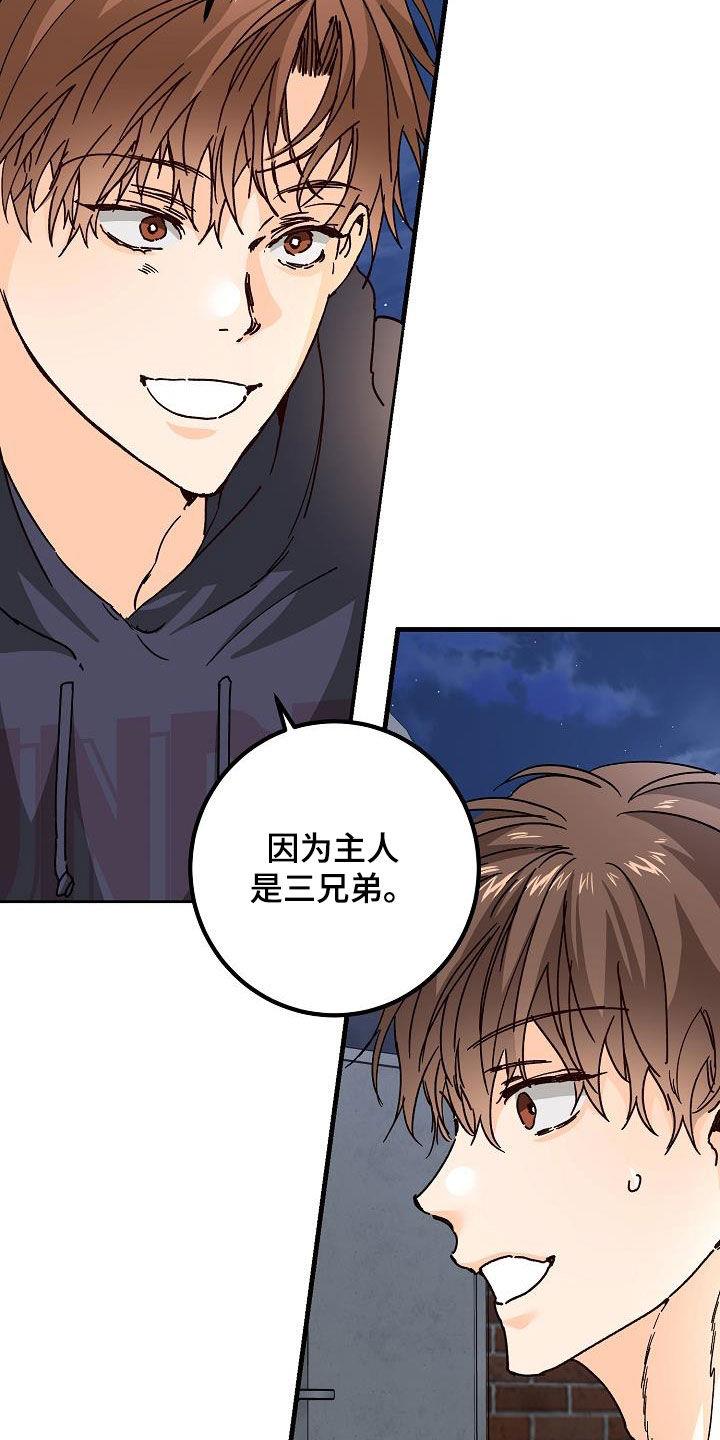 第47话 三兄弟 第 19 页