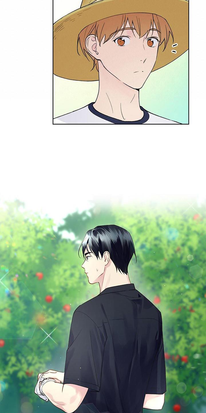 第14话 摘苹果 第 12 页