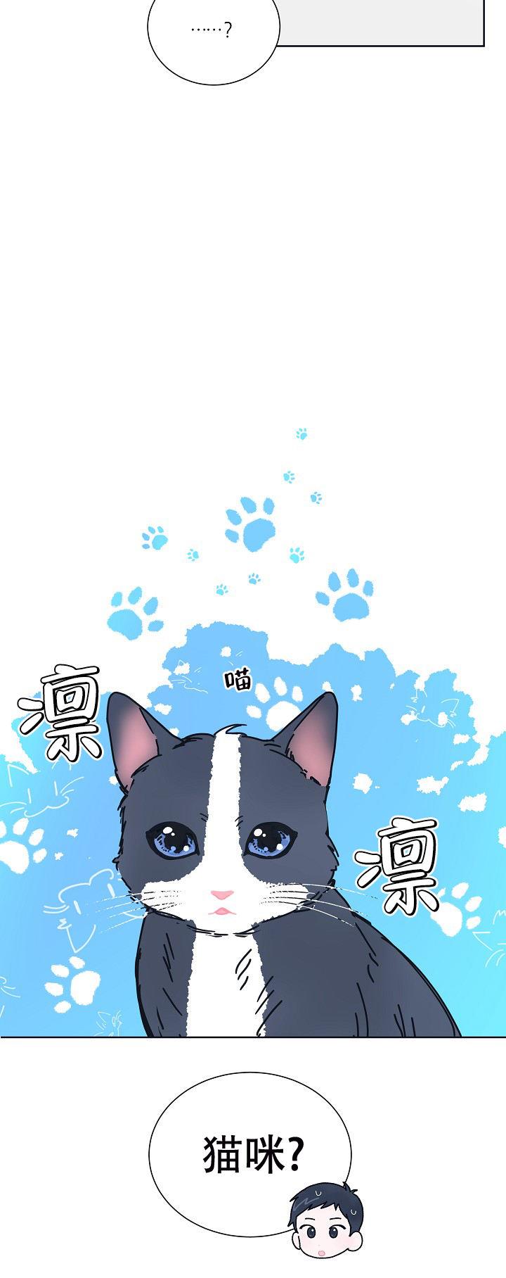 第5话 猫咪 第 17 页