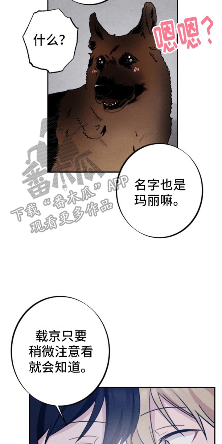 第33话 以爱为名 第 5 页