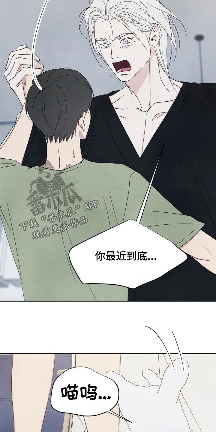 第240话 【第二季】做个了断 第 3 页