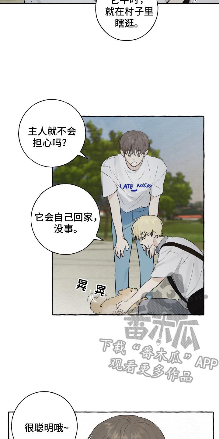 第8话 小狗 第 8 页