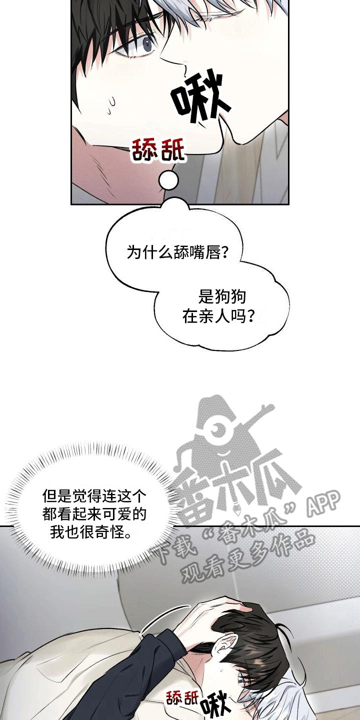 第10话 小心机 第 19 页