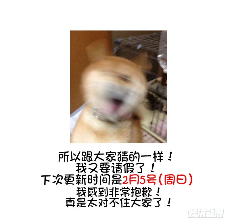 热门帖子 第 27 页