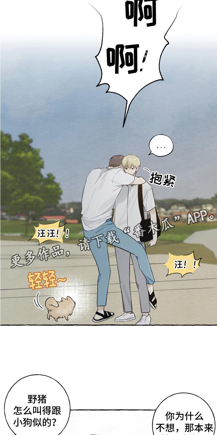 第8话 小狗 第 5 页