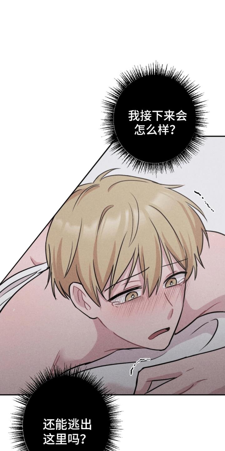 第11话 打赌 第 12 页