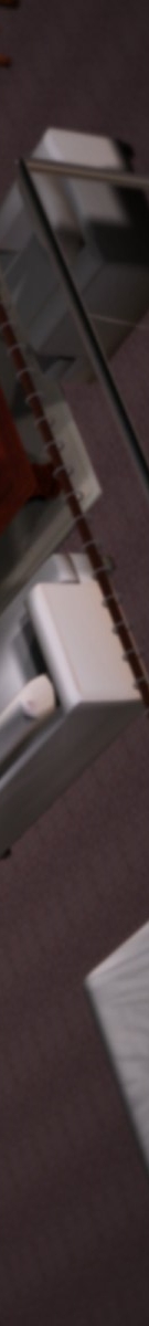 最终话 第 19 页