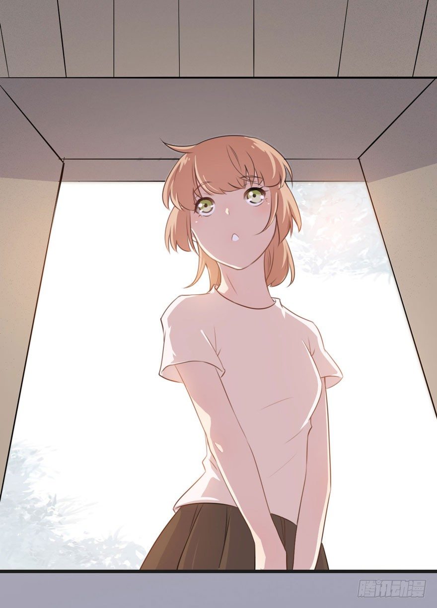 002 茕茕白兔 第 19 页