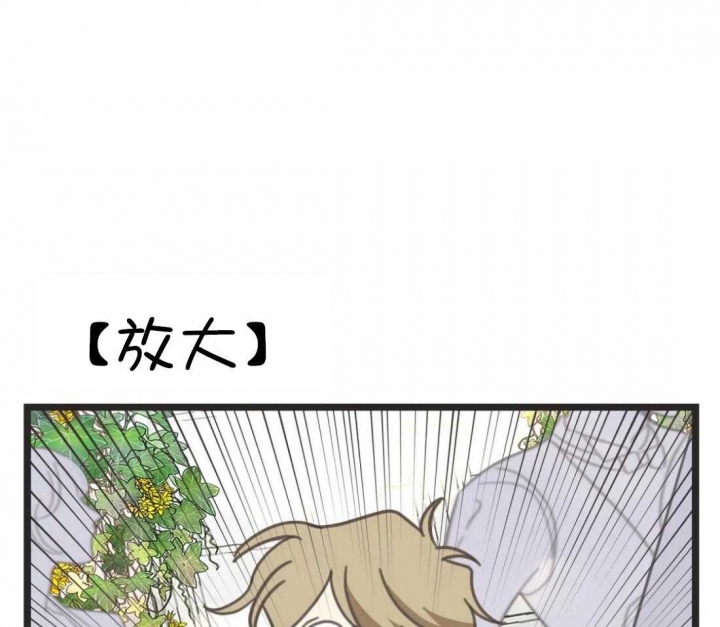 第207话 第207话 第 46 页