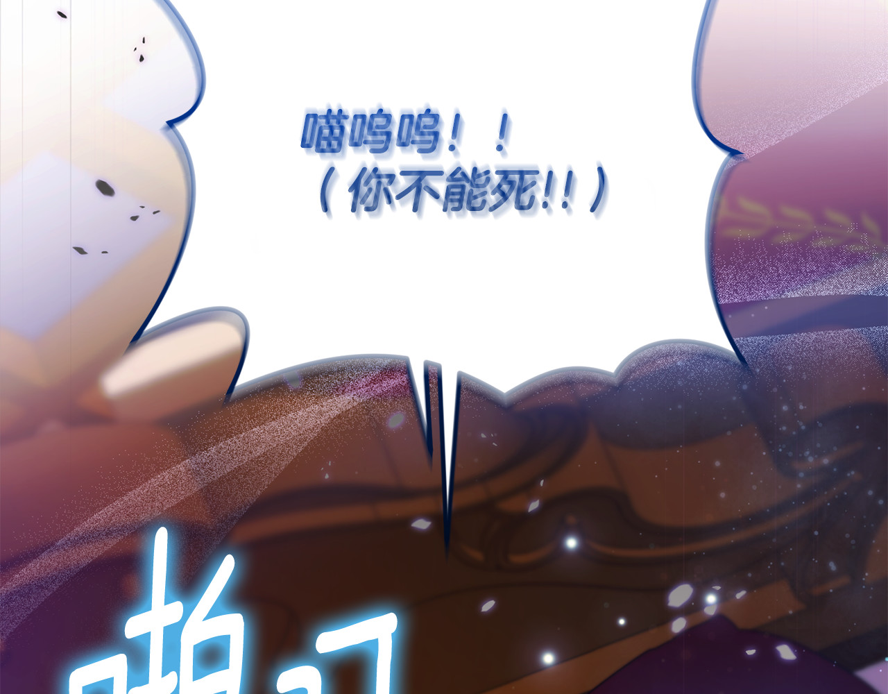 第6话 把猫大人留在身边 第 203 页