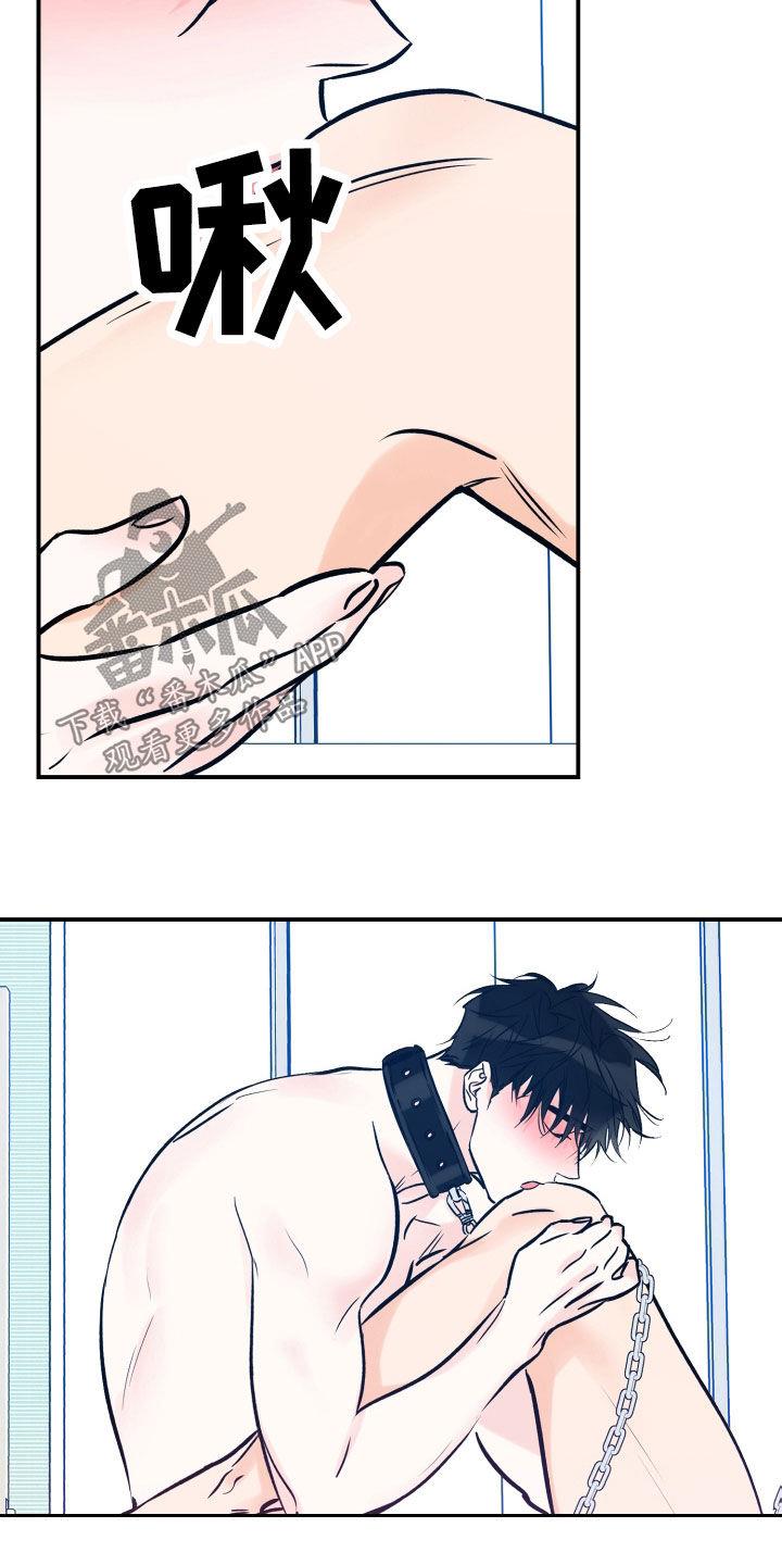 第169话 服务 第 18 页