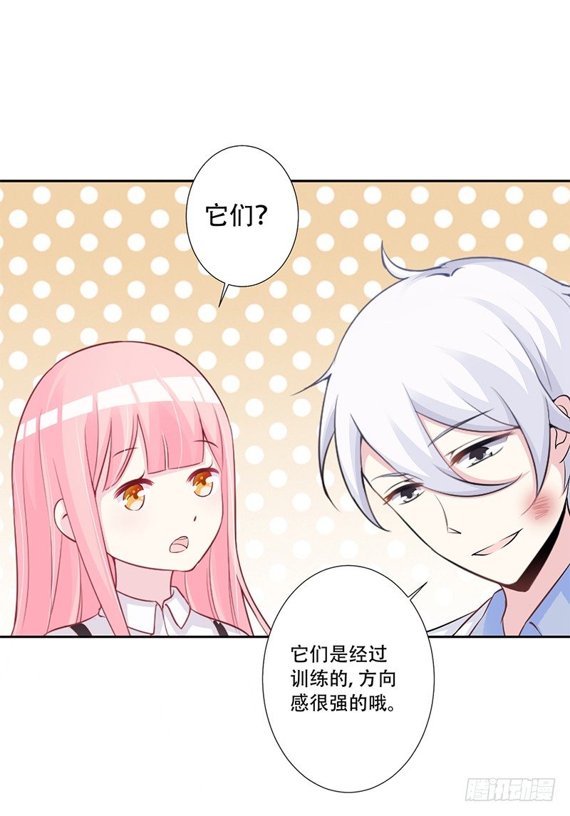 041 只有他才能想得出来 第 17 页