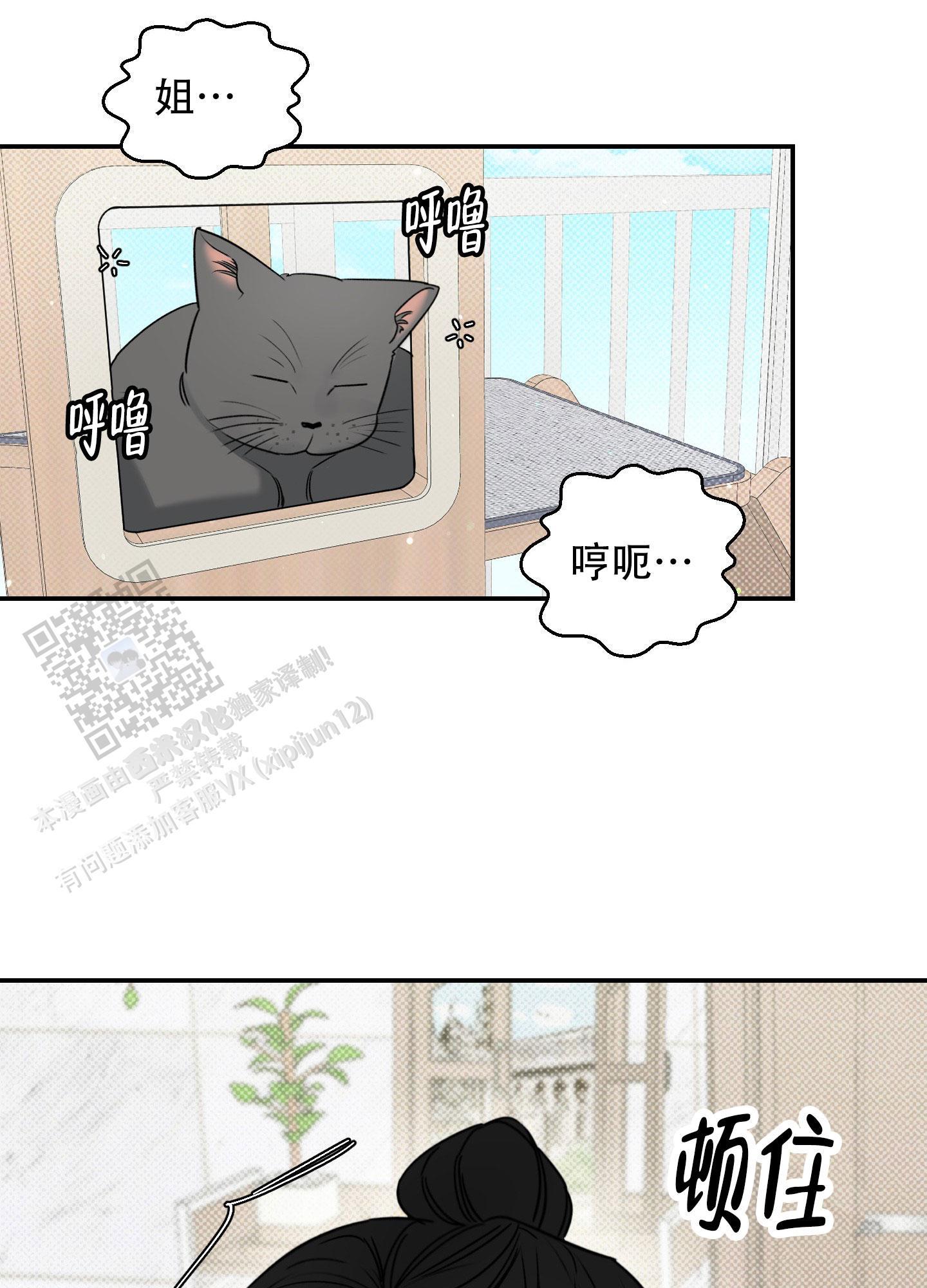 第6话 多蠢 第 19 页