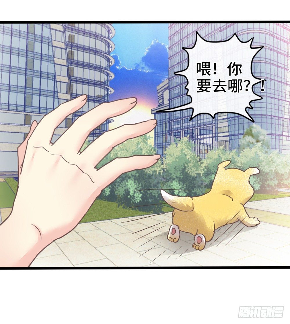 18、转角遇见谁 第 19 页