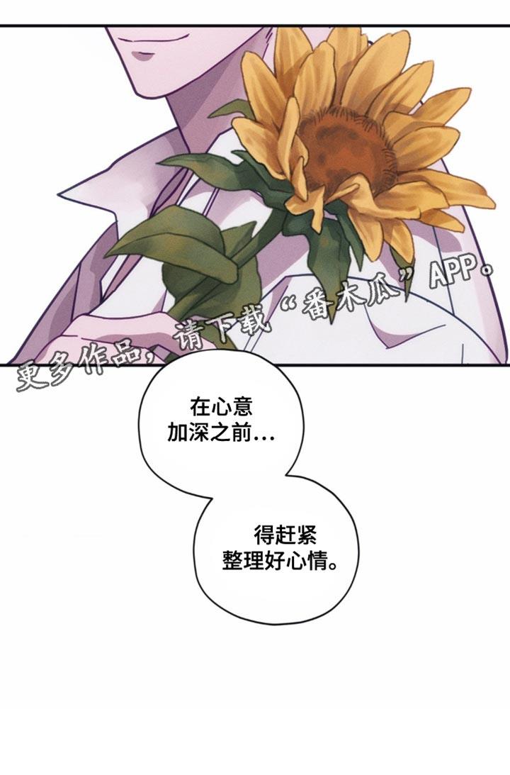 第33话 赶紧整理好心情 第 17 页
