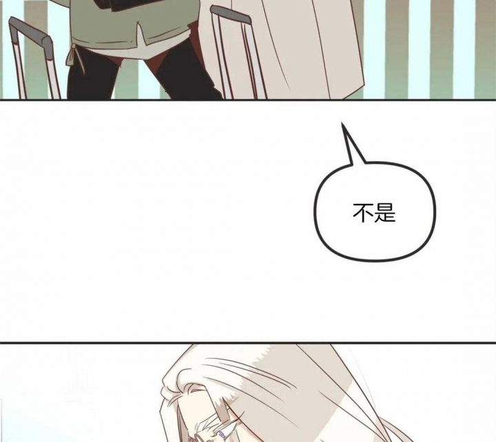 第199话 幸福的标准（正文完） 第 36 页
