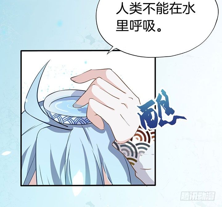 004电梯公寓里的龙宫仙境（二） 第 4 页
