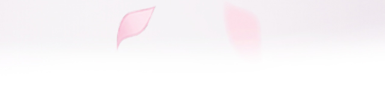 第24话 她的执念 第 49 页