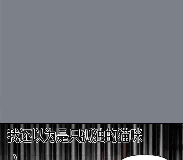 第151话 寂寞的喵咪 第 33 页