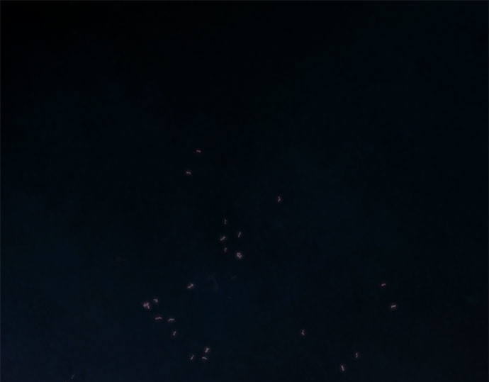 第66话 烟花绽放的夏夜（2） 第 3 页