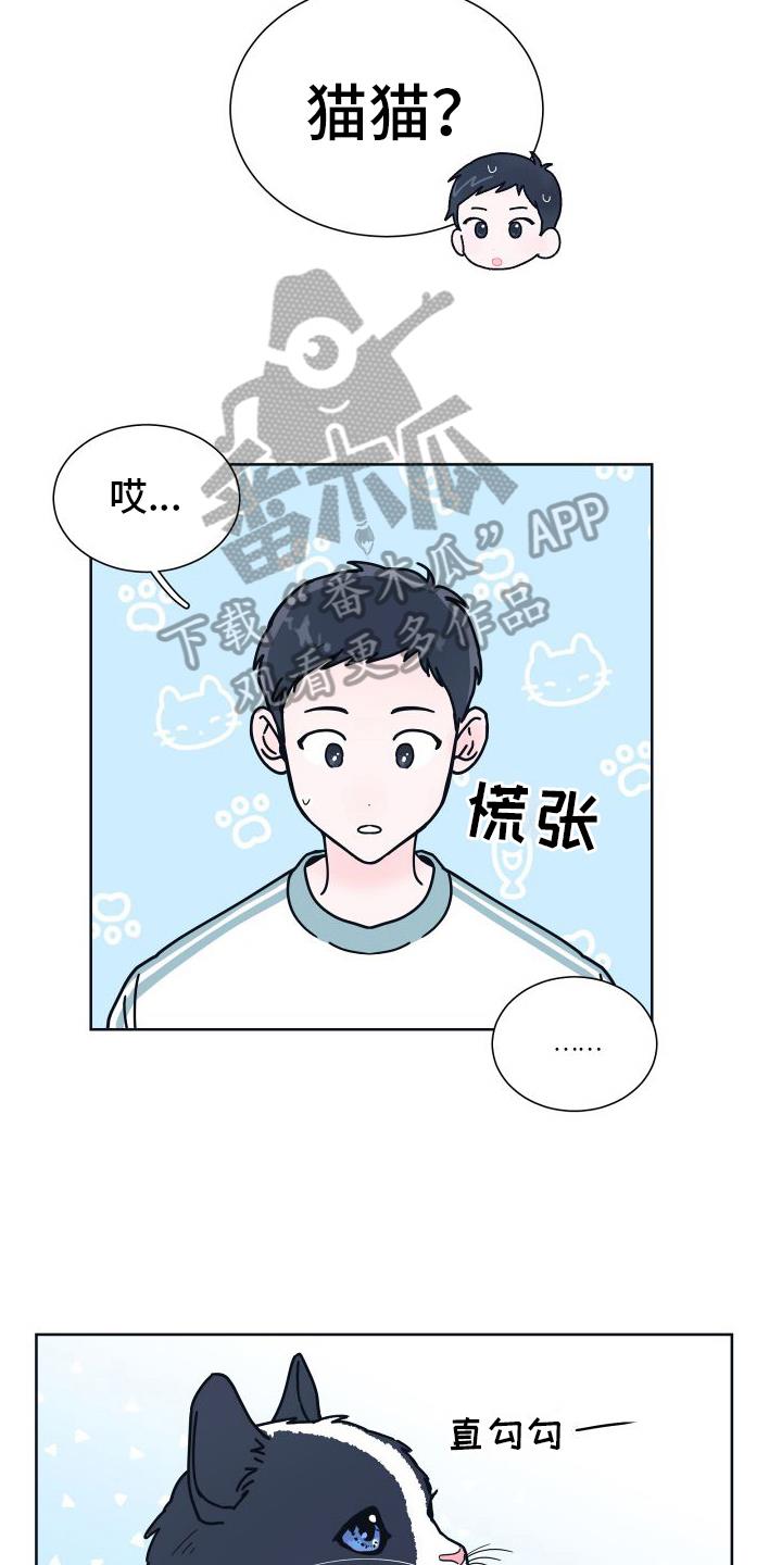 第6话 很像 第 5 页