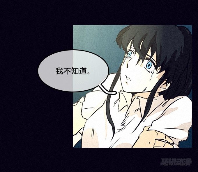 推卸 第 13 页