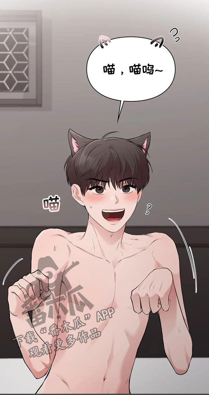 第53话 小猫咪 第 5 页
