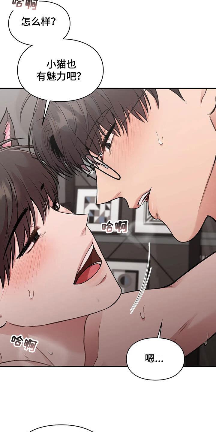 第53话 小猫咪 第 20 页