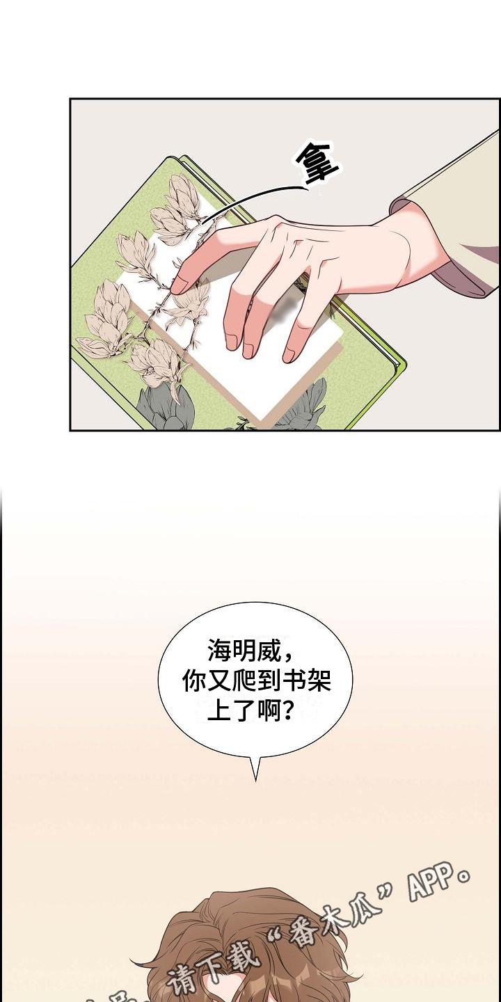 第37话 深刻记忆 第 20 页